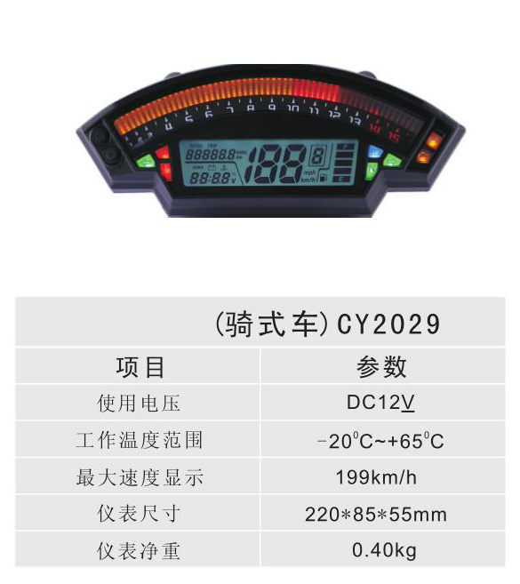 ʽ - CY2029
